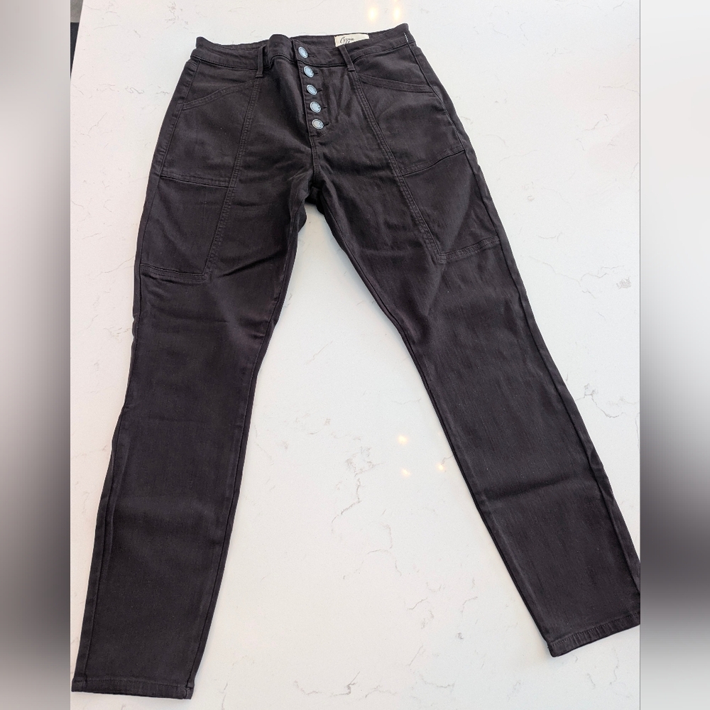Stitch Fix Cosmic Blue Love Dark Brown Women's Pants Size 30